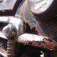 Illustration for article titled Wisconsin Rust Trip